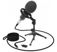 Микрофон Ritmix RDM-160