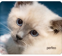 Коврик Perfeo Cat; 180х220х2 мм 