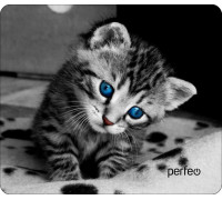 Коврик Perfeo Cat; 240х200х2 мм (PF_D0655) Рис.14