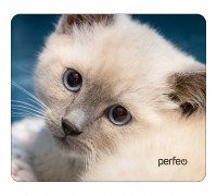 Коврик Perfeo Cat; 240х200х2 мм (PF_D0659) Рис.18