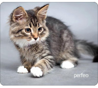 Коврик Perfeo Cat; 240х200х2 мм (PF_D0661) Рис.20