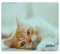 Коврик Perfeo Cat; 350х300х4 мм (PF_D0649) Рис.8