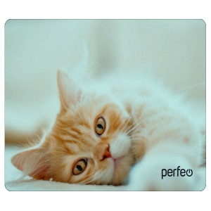 Коврик Perfeo Cat; 350х300х4 мм (PF_D0649) Рис.8