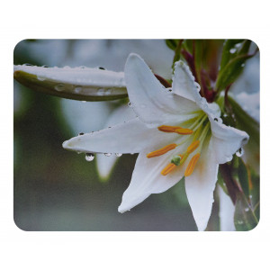 Коврик Perfeo Flower; 240х200х2 мм 