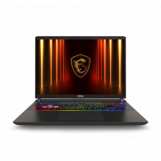 Ноутбук 16" IPS MSI Vector 16HX A14VIG-636TAA