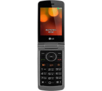 Мобильный телефон LG G360 Titan (LGG360.ACISTN)