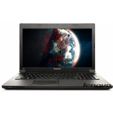 Ноутбук Lenovo IdeaPad B590A (59-390831)