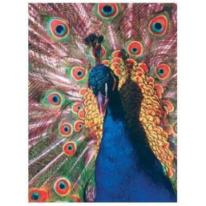 Коврик Gembird MP-PICTURE-R